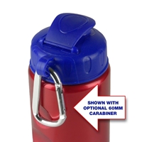 Picture of Custom Printed Mini Peak - 22 Oz. Flip Lid Metalike Bottle