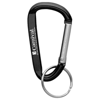 Picture of Custom Carabiner